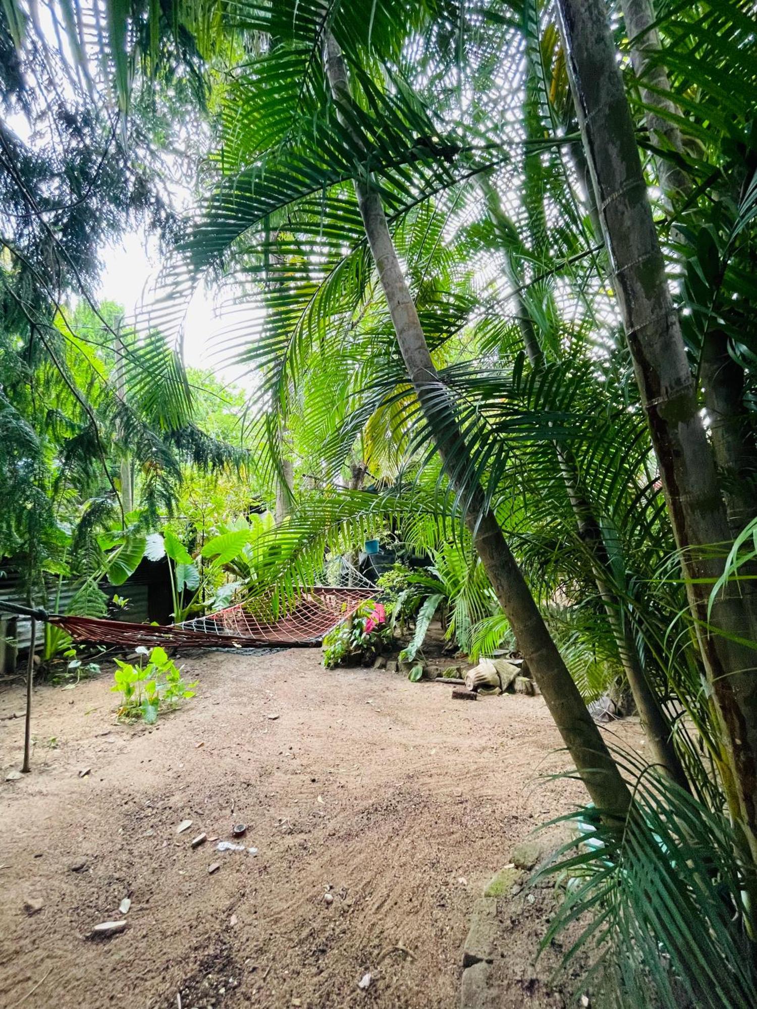 Green Grass Homestay Sigiriya Exterior photo