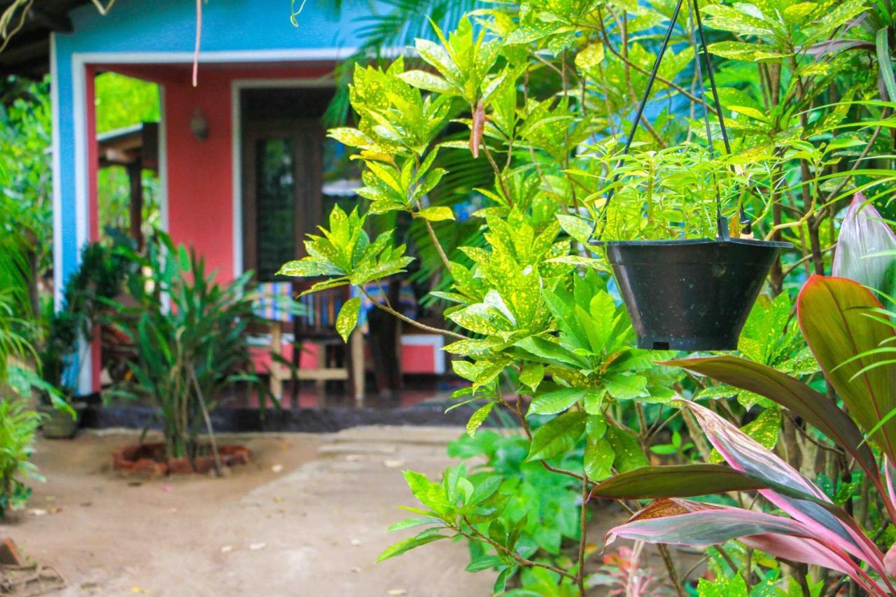 Green Grass Homestay Sigiriya Exterior photo